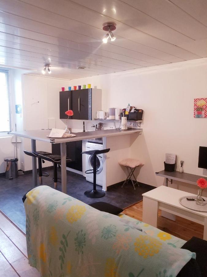 Copropriete Les Iris Lejlighed Saint-Etienne  Eksteriør billede
